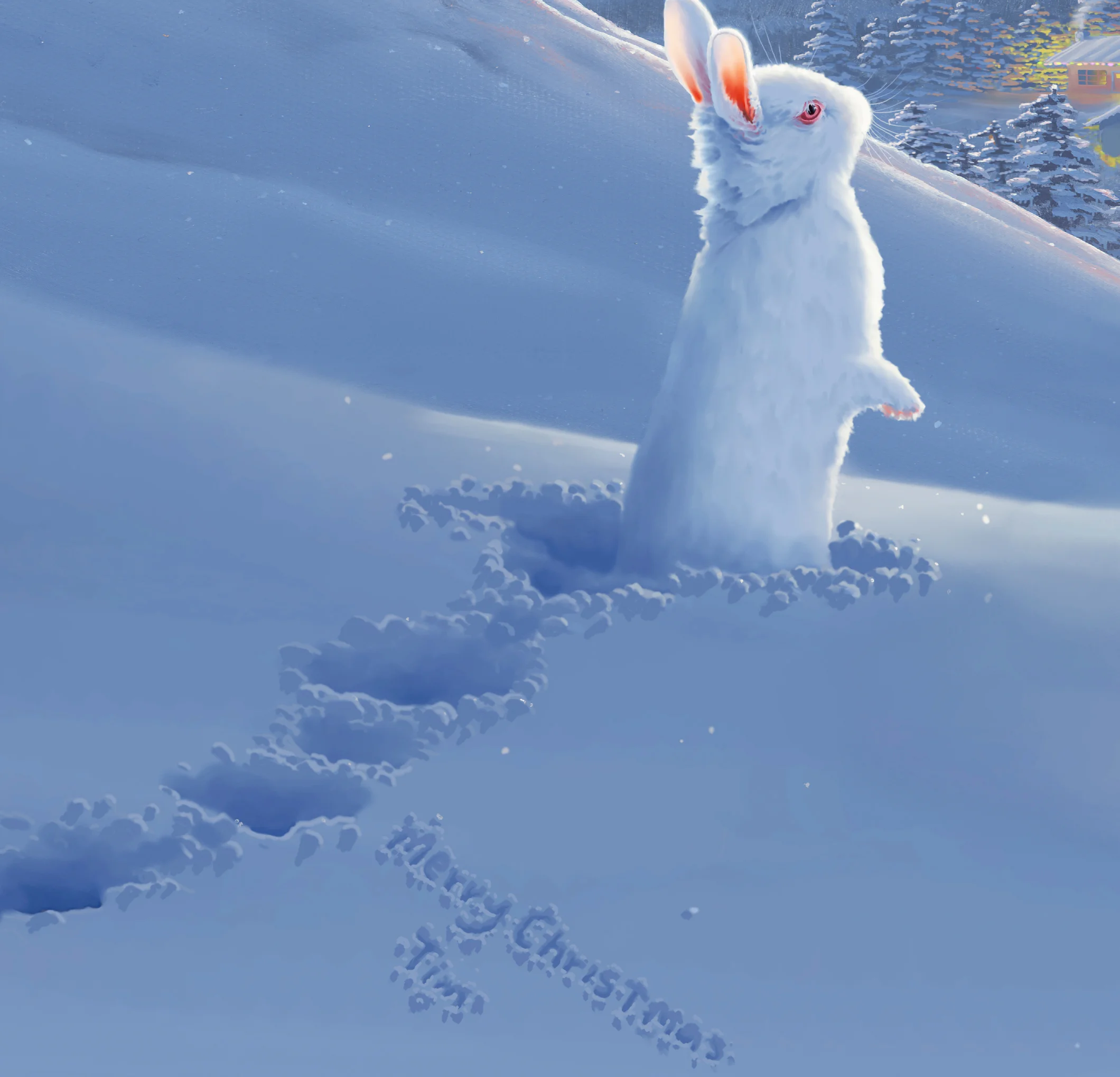 Writing in the snow
