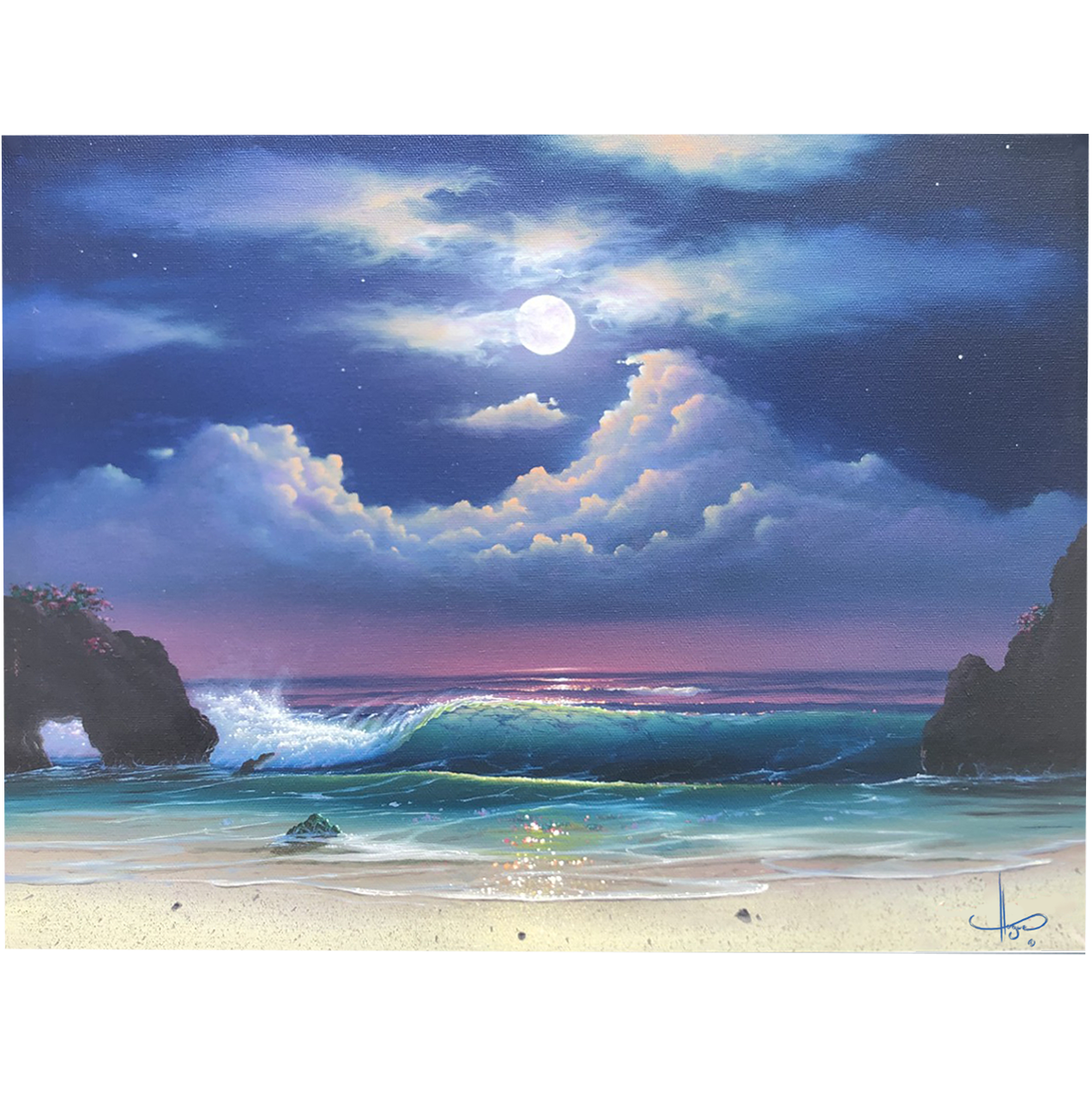 Moolit Cove orig oil unframed PNG.png