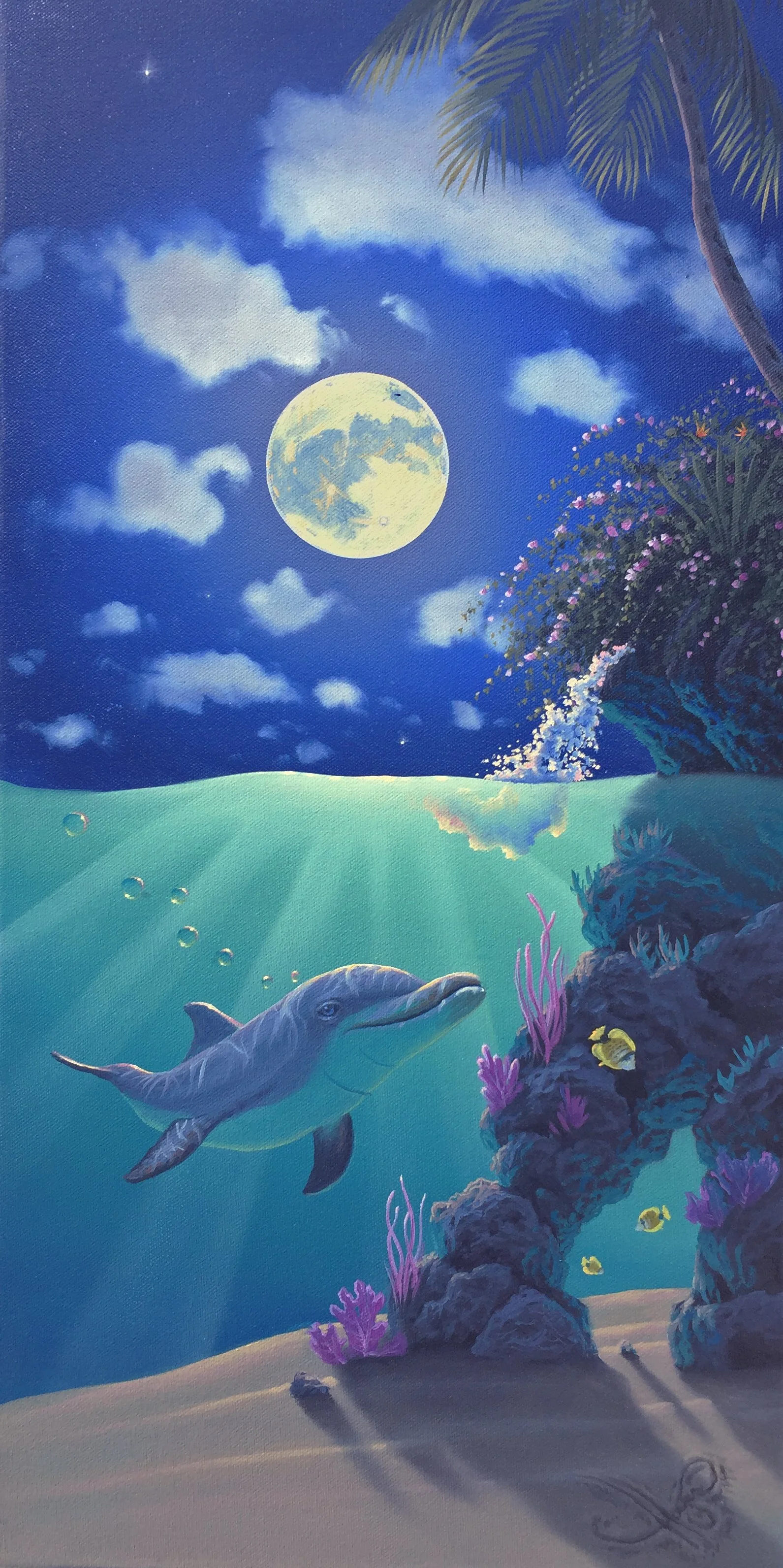 Dolphin Paradise.jpg