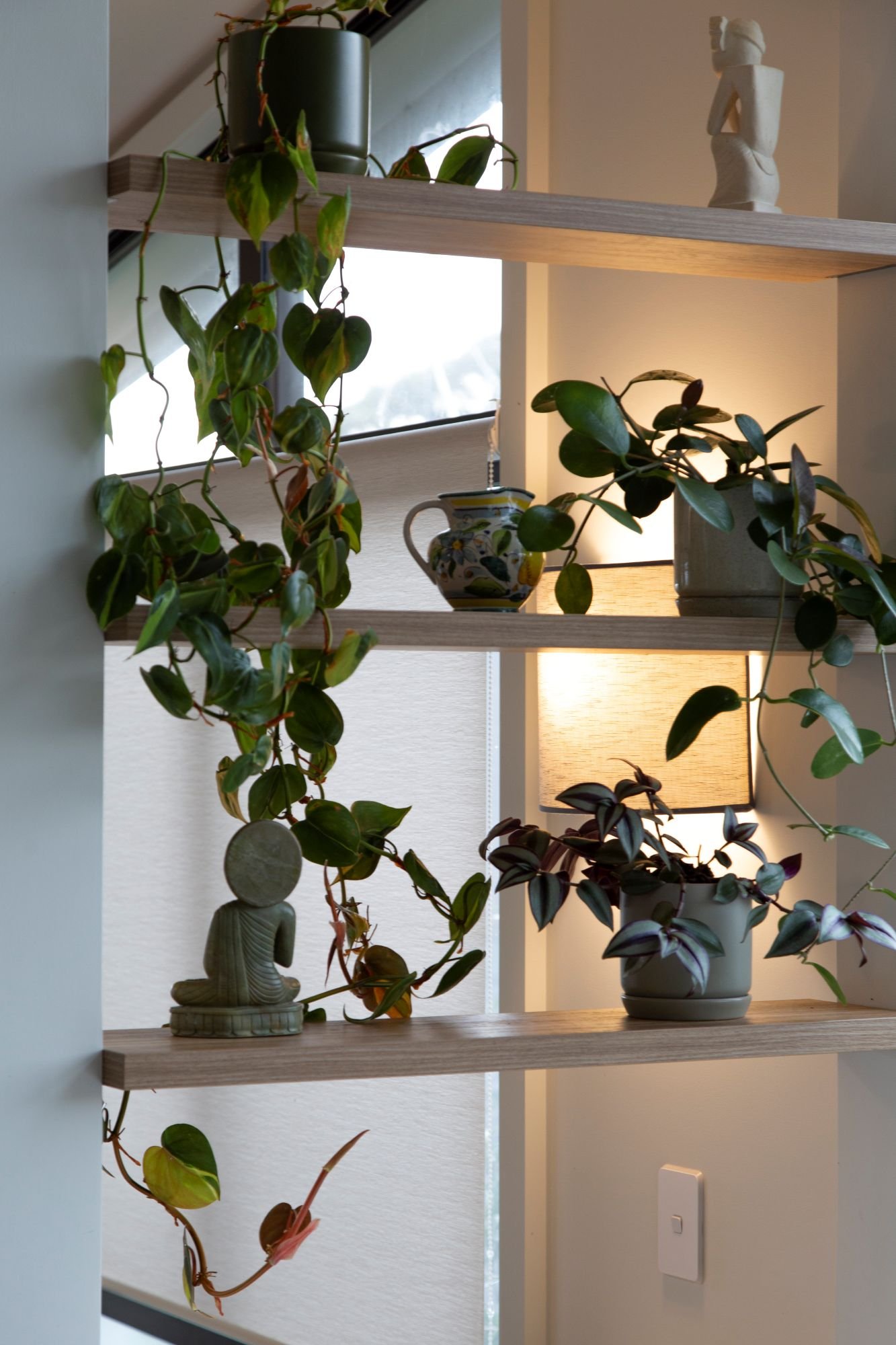 Suspended shelves.jpg