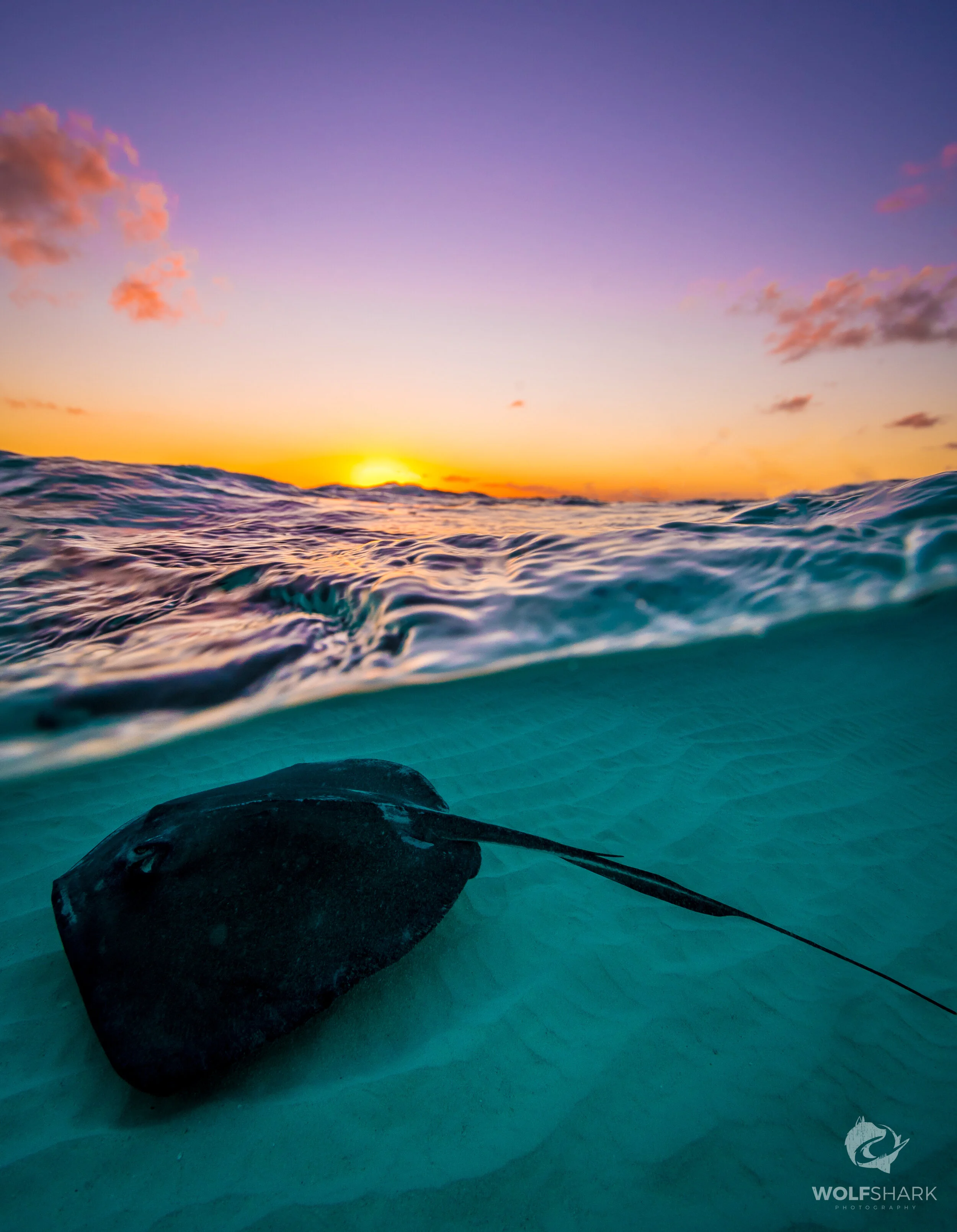 BEN_6037-Edit.JPG