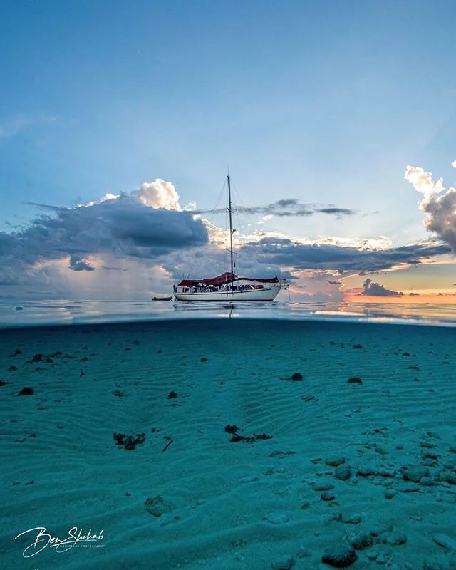 The Horizon brings exciting new changes. 🏝 
#Bahamas. Returning February 2020.