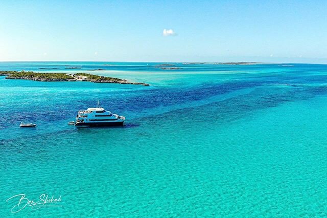 Is there a better way to be Quarantined? 🤷🏻&zwj;♂️ Doubt it!
Stuck with: @karl_trow @ocean.jen @beachbum242 @thisunderwaterworld @btspooner993 &amp; @dionne_babygirl on @aquacatcruises &bull; 📸: @dji_official &bull;
&bull;
&bull;
#quarantineandchi