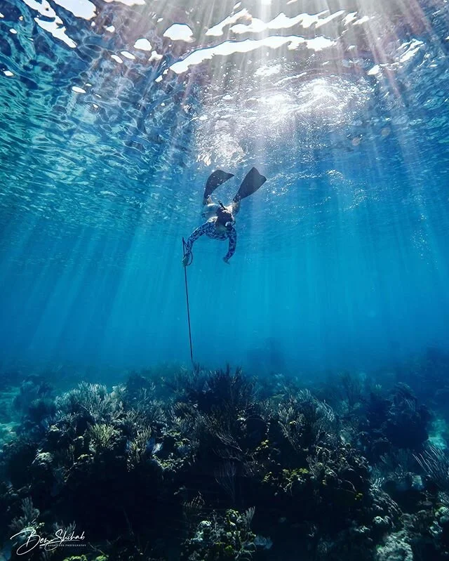 Drop below the dividing line of air and water. &bull;
&bull; 🧜🏼&zwj;♀️: @beachbum242 looking for the only fish she will spear, the invasive Lionfish. #Lionfish are a top threat to the #coralreef ecosystem here in the Bahamas. &bull;
&bull;&bull; 📸