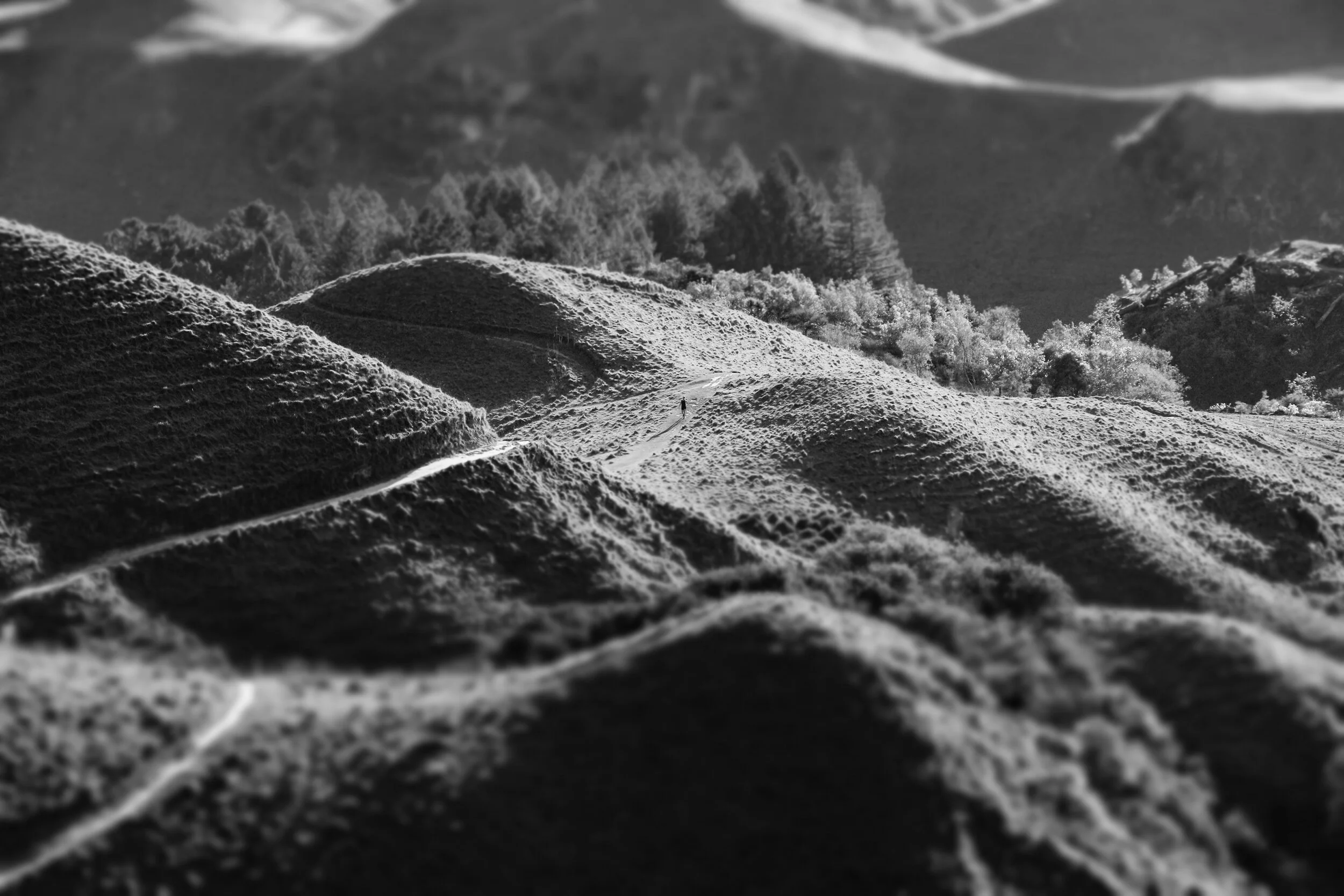 IMG_8568.JPG