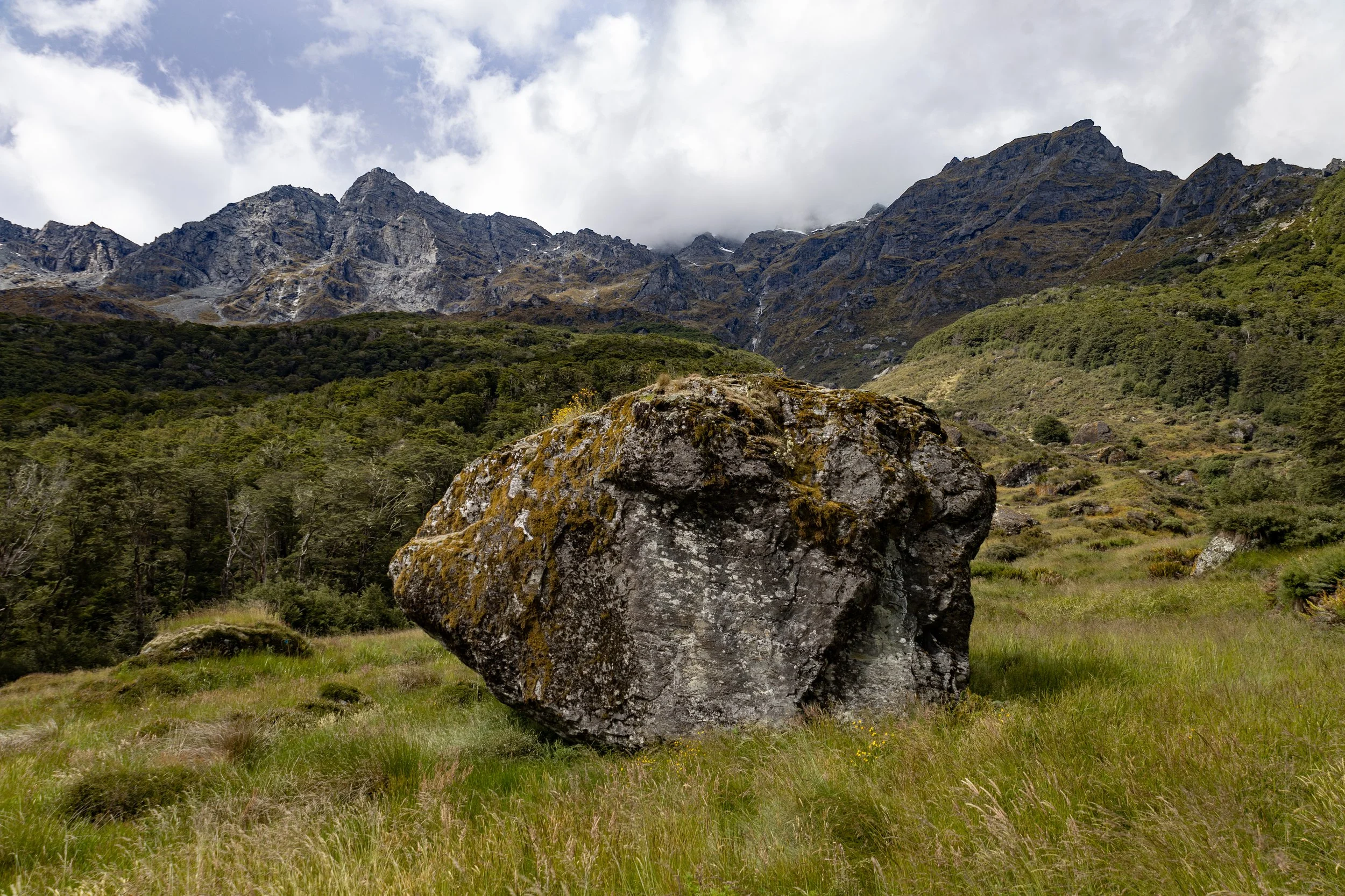 IMG_7928 - Copy.JPG