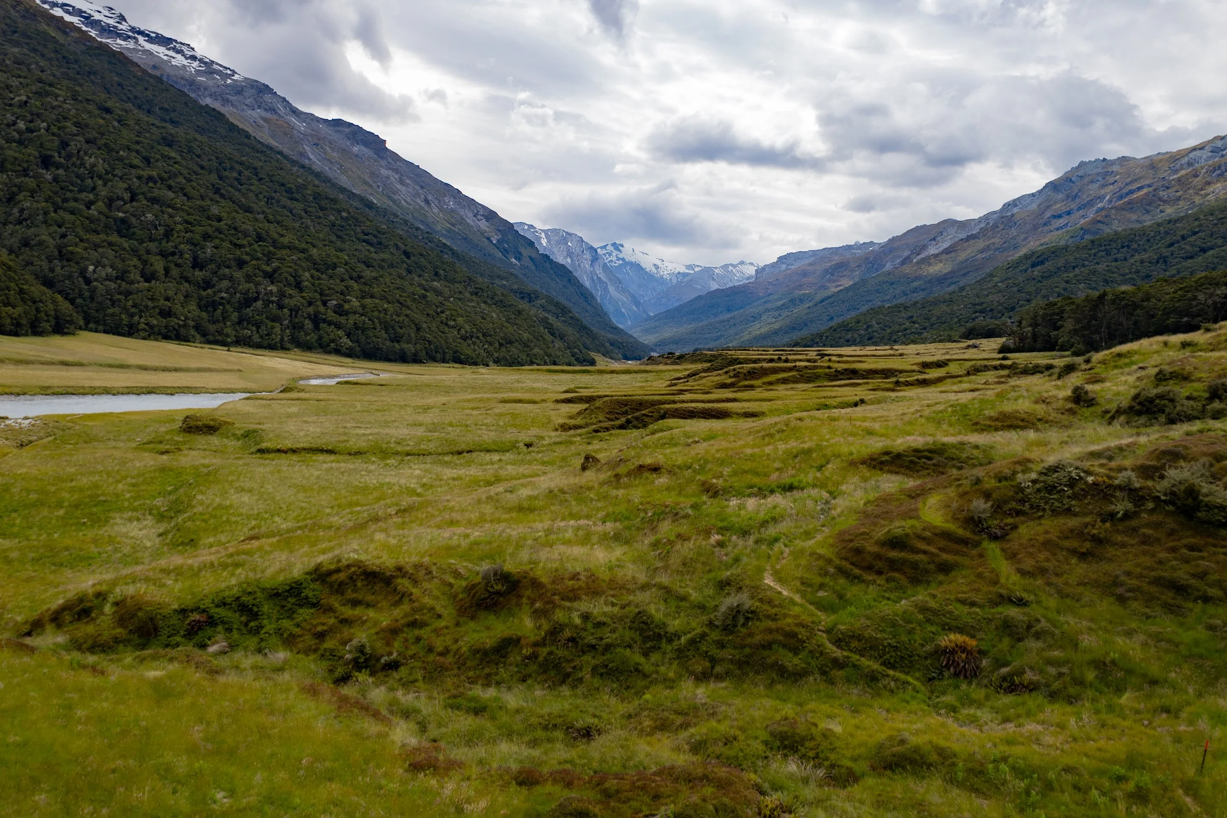 IMG_7934 - Copy.JPG