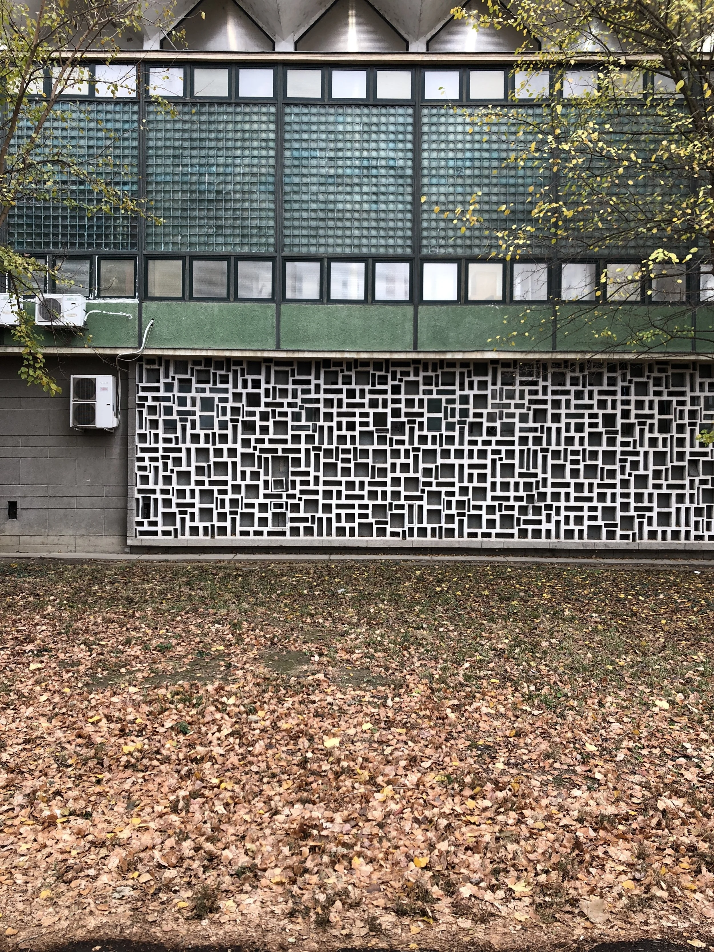 EUROSON School Course Liver Elastography Timisoara