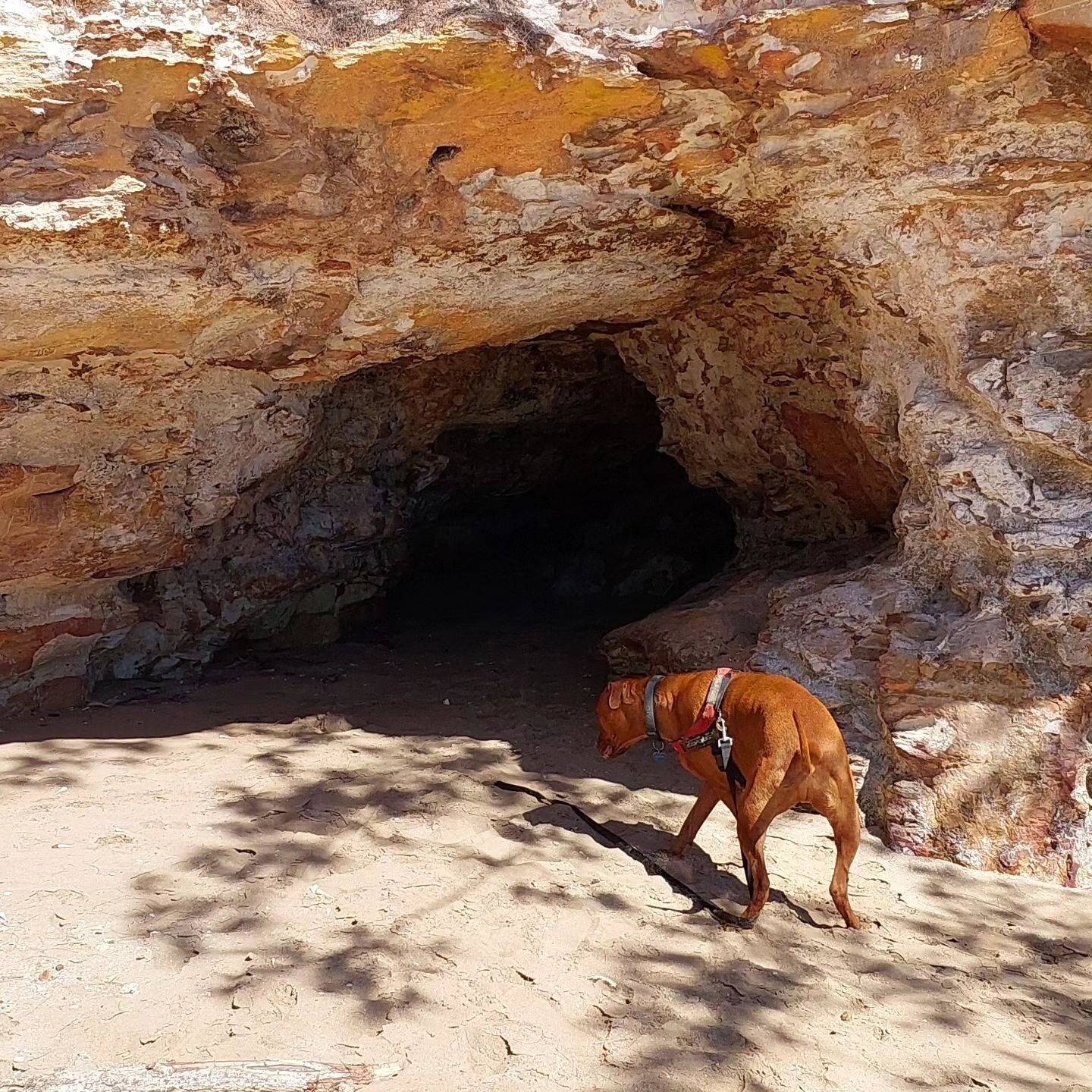 Casuarina dog Beach Darwin.
