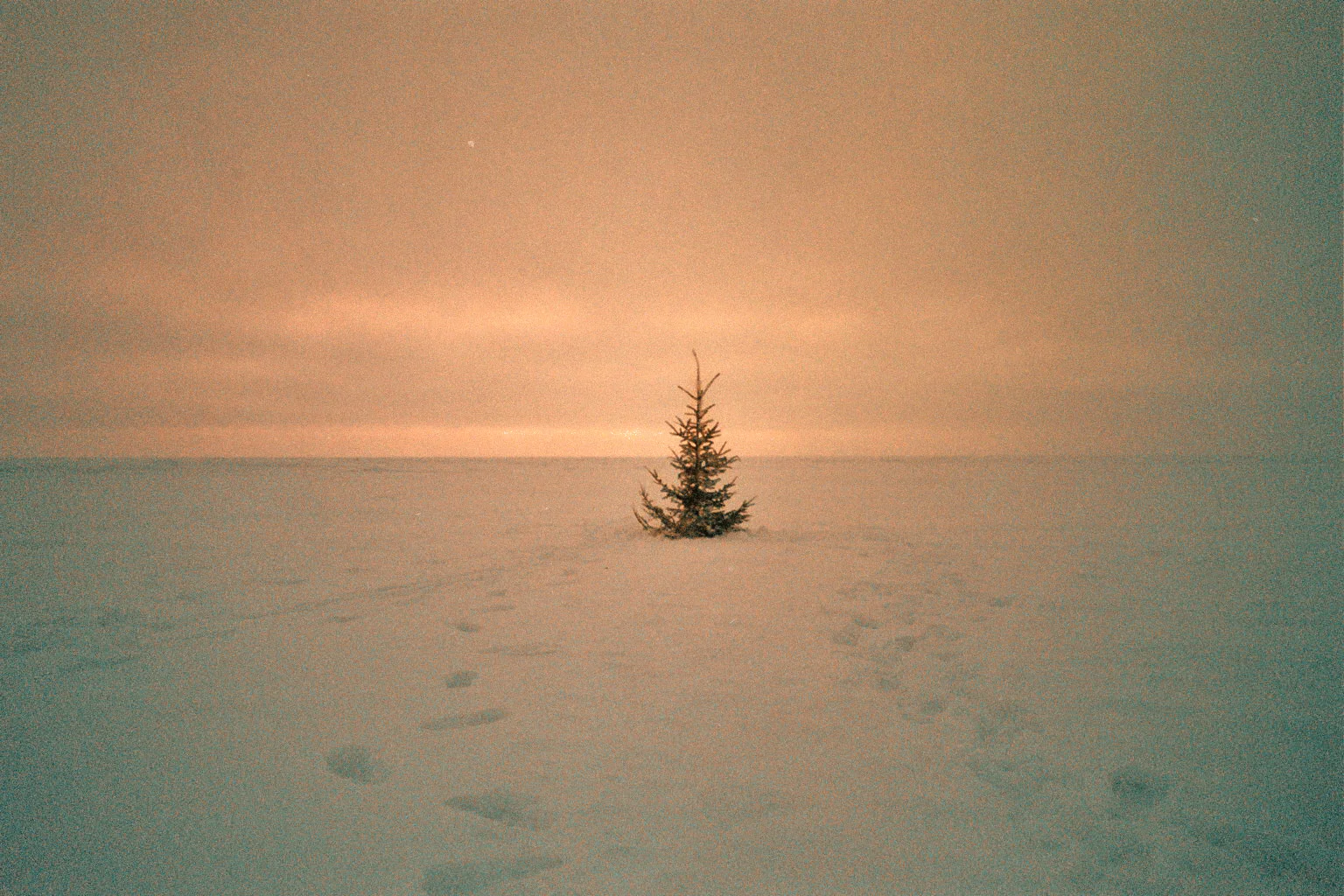 ____0089.jpg