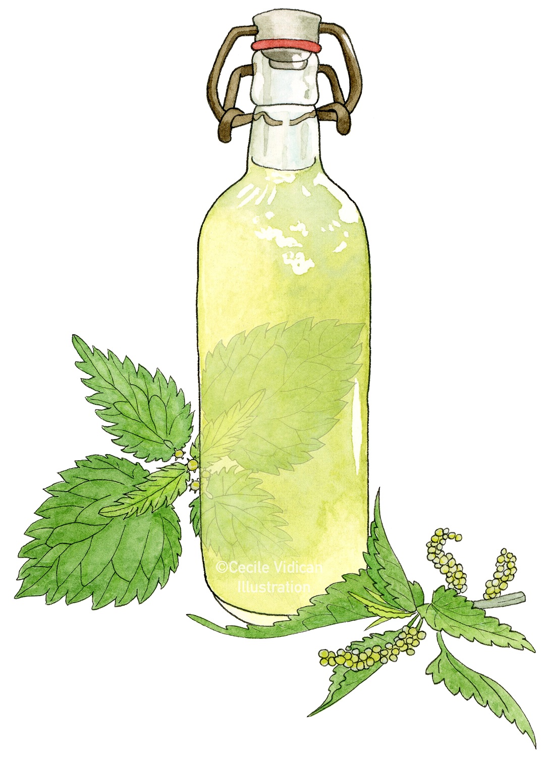 Illustration by Cecile