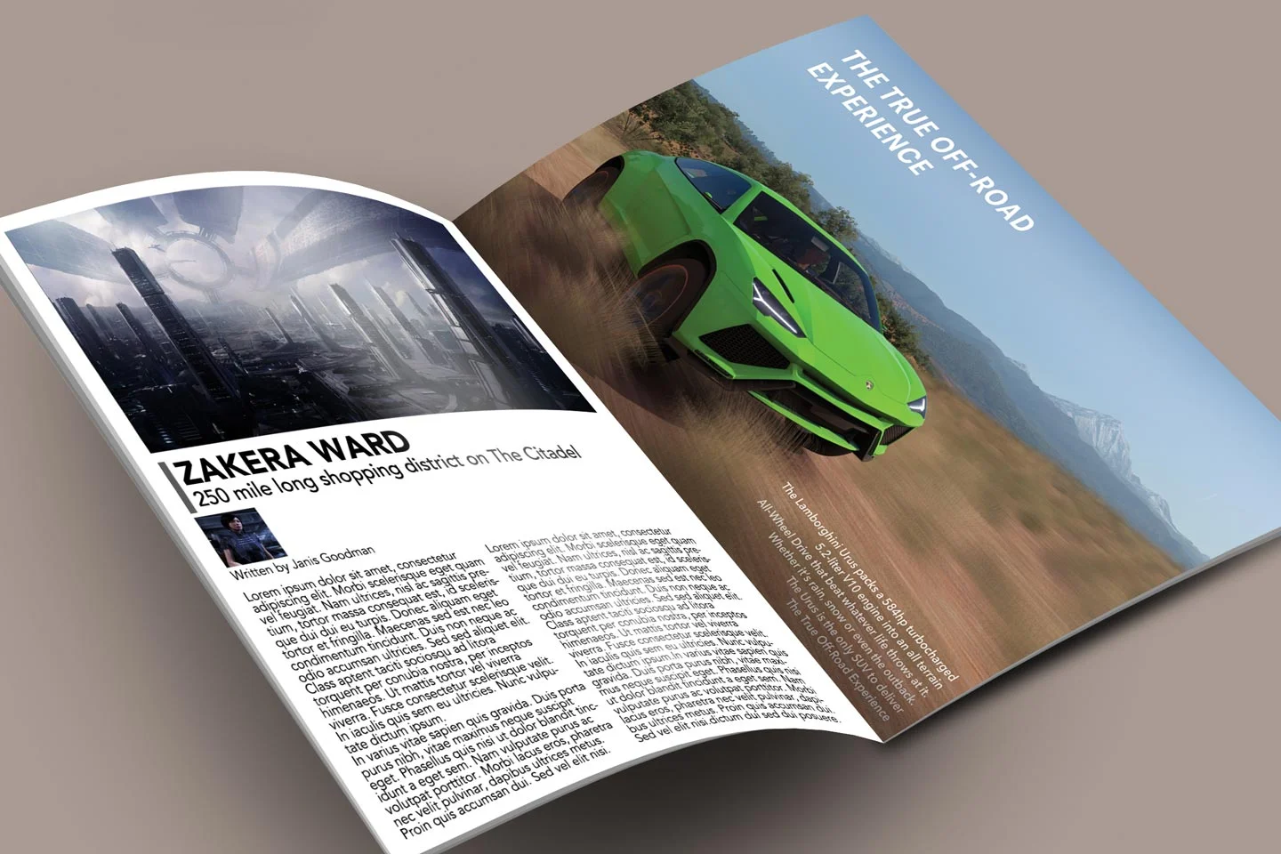 mag1.jpg