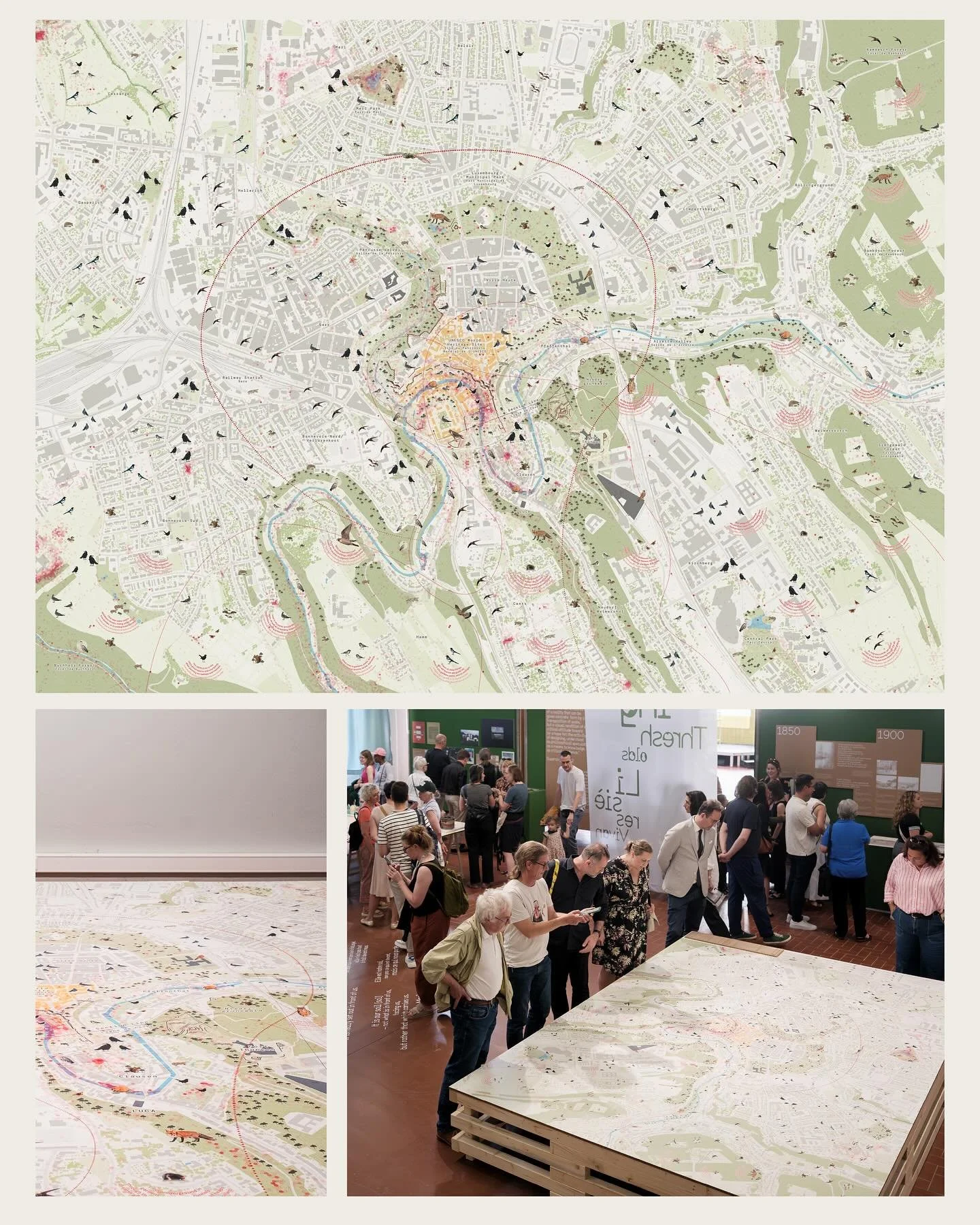 Urban Grounds: Map (2025)
Mapping urban biodiversity for the exhibition Living Thresholds: Towards Cohabitation in Architectural Design, part of LUGA 2025 – Luxembourg Urban Garden at LUCA – Luxembourg Center for Architecture🌿
As the le