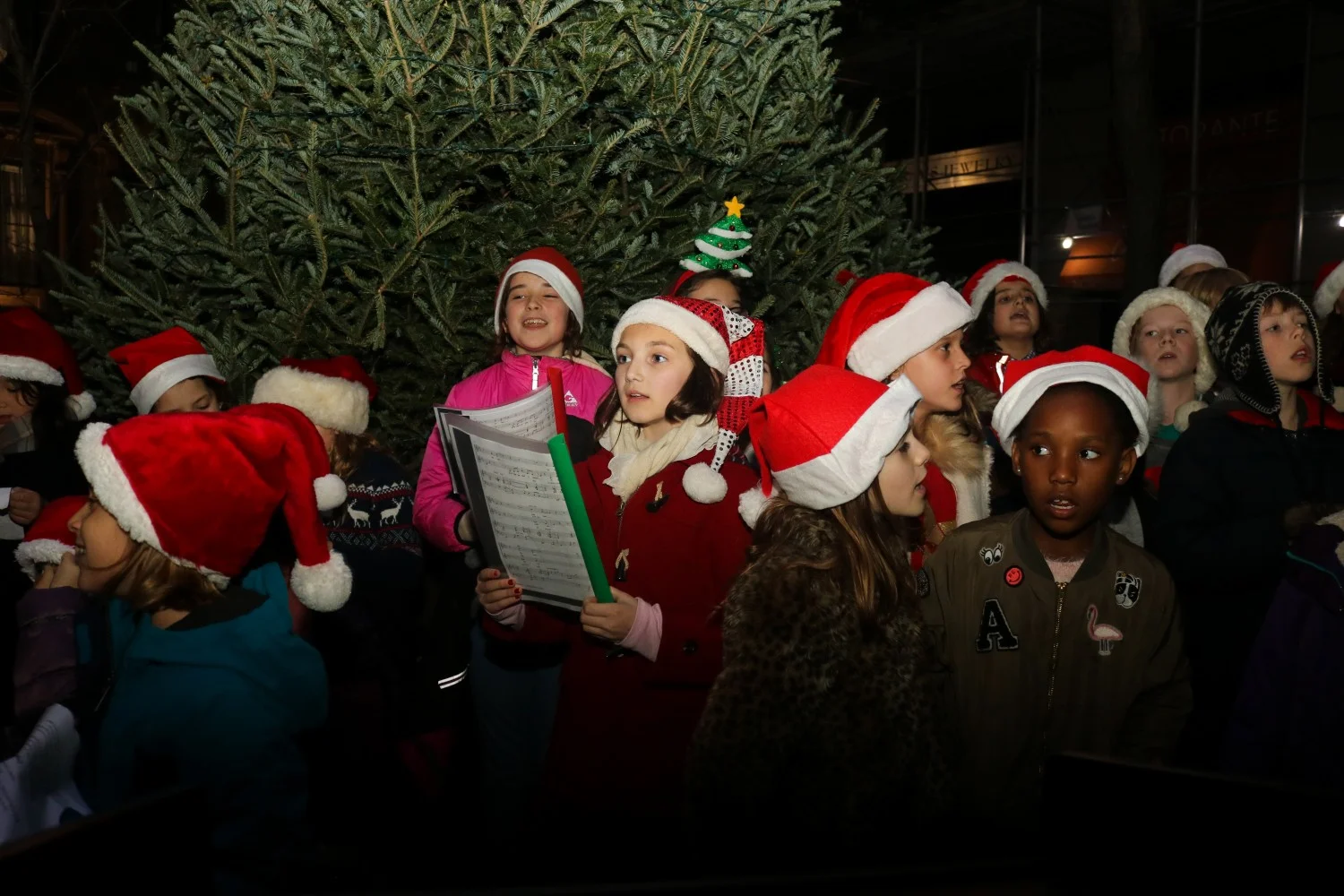 2017-Carol-Concert-and-Tree-Lighting-St-Georges-Society-NY-SGSNY (10).jpg