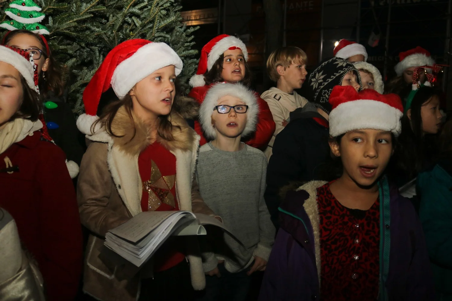 2017-Carol-Concert-and-Tree-Lighting-St-Georges-Society-NY-SGSNY (19).jpg