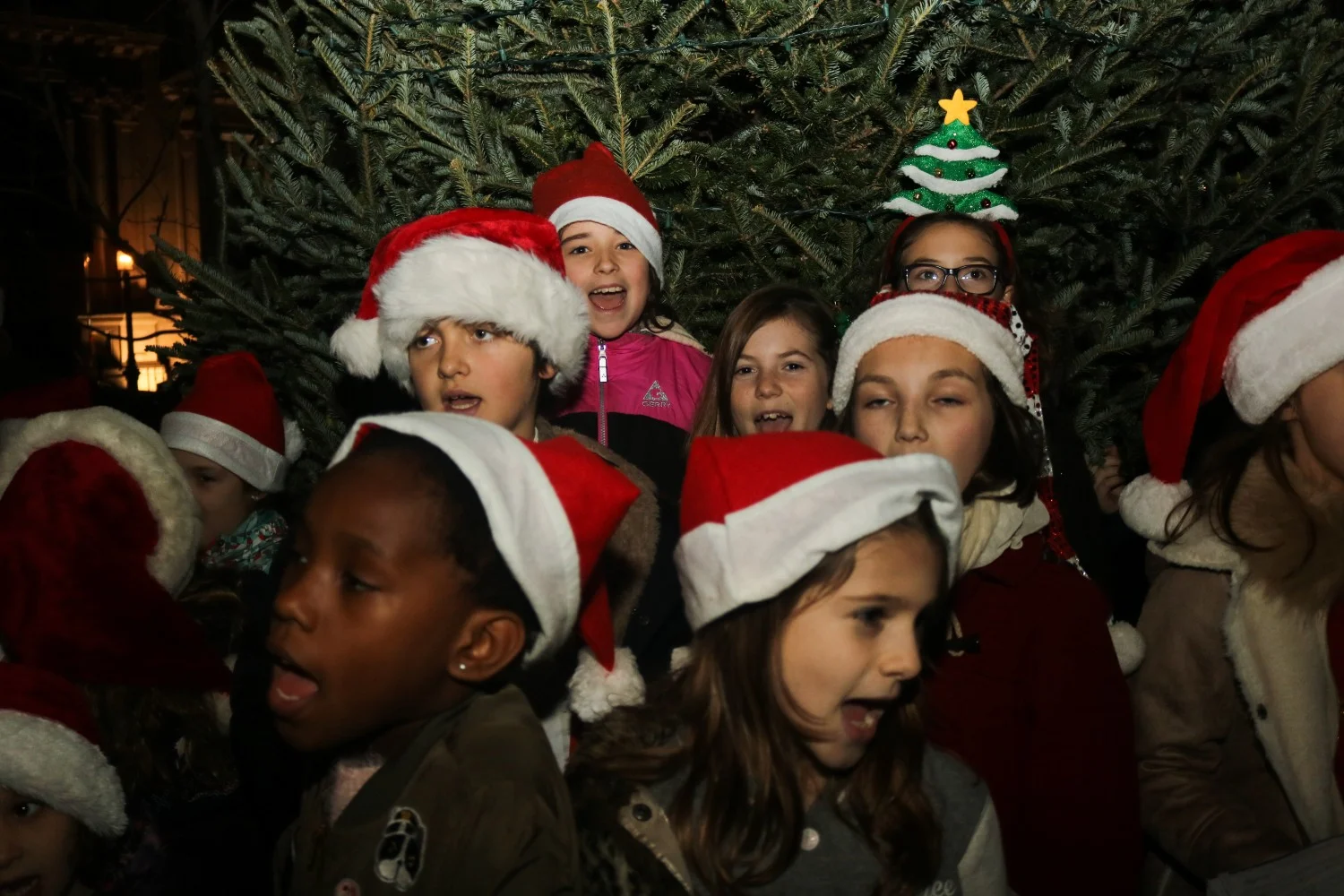 2017-Carol-Concert-and-Tree-Lighting-St-Georges-Society-NY-SGSNY (20).jpg
