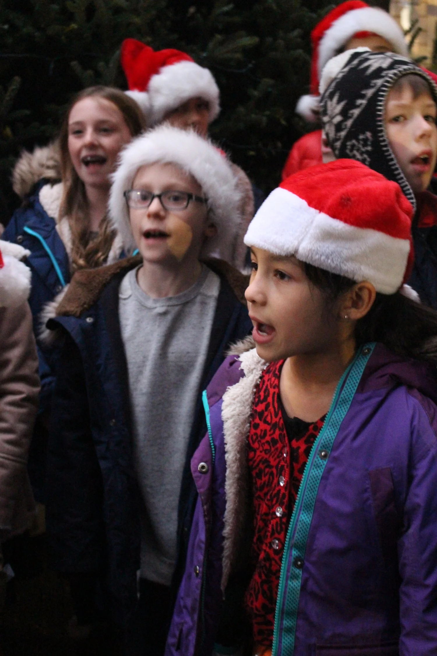 2017-Carol-Concert-and-Tree-Lighting-St-Georges-Society-NY-SGSNY (21).jpg