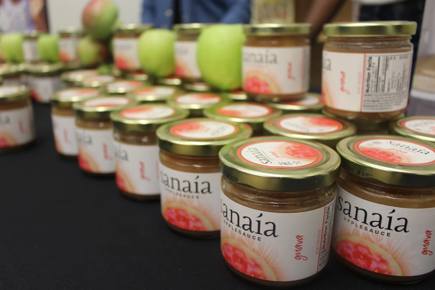 SGSNY-A-Taste-of-Home-NYC-2018-rKamand- (93).jpg
