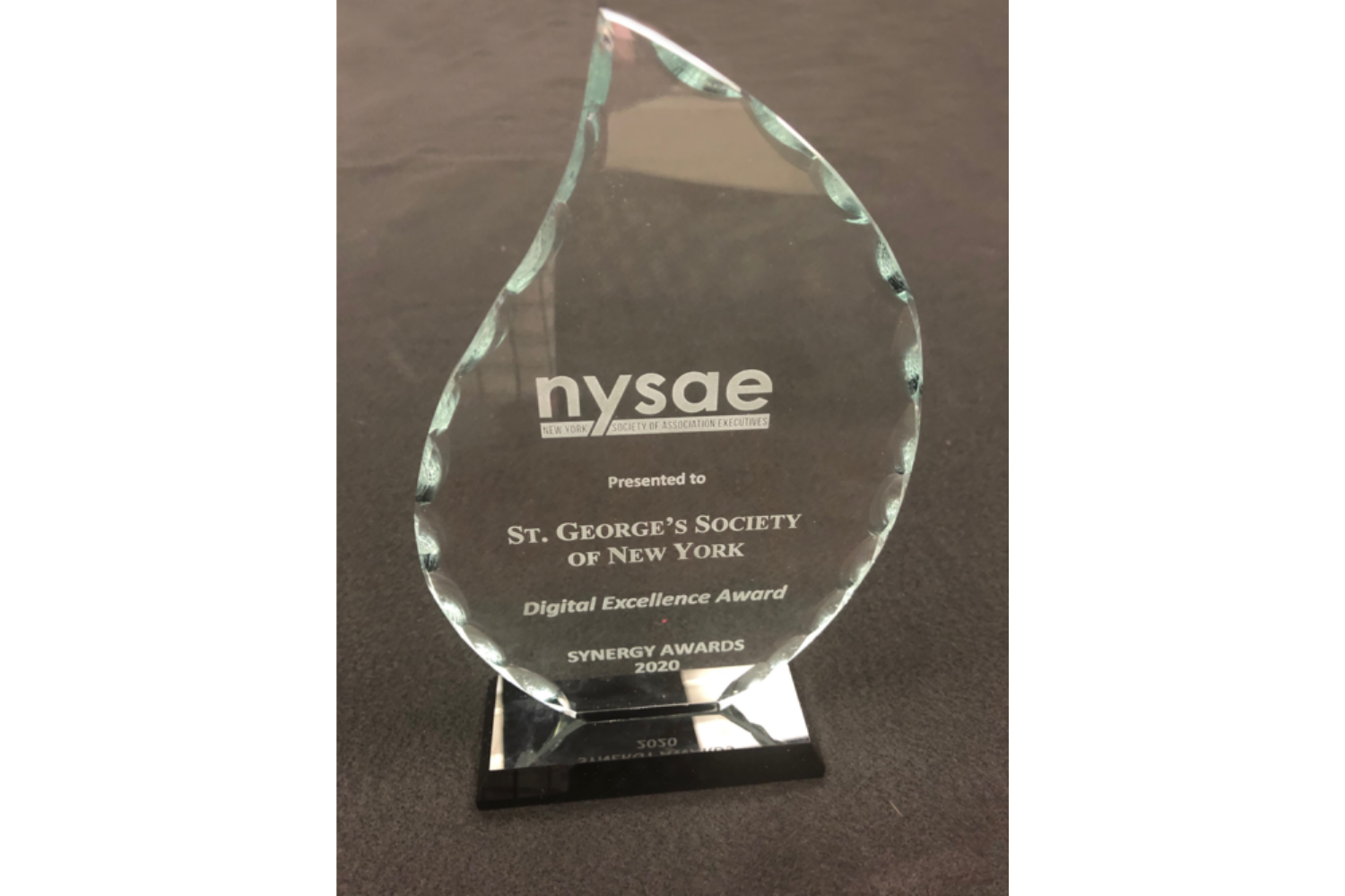  SGSNY was honored by New York Society of Association Executives with the Digital Excellence Award at the 2020 NYSAE Virtual Synergy Awards in August. 