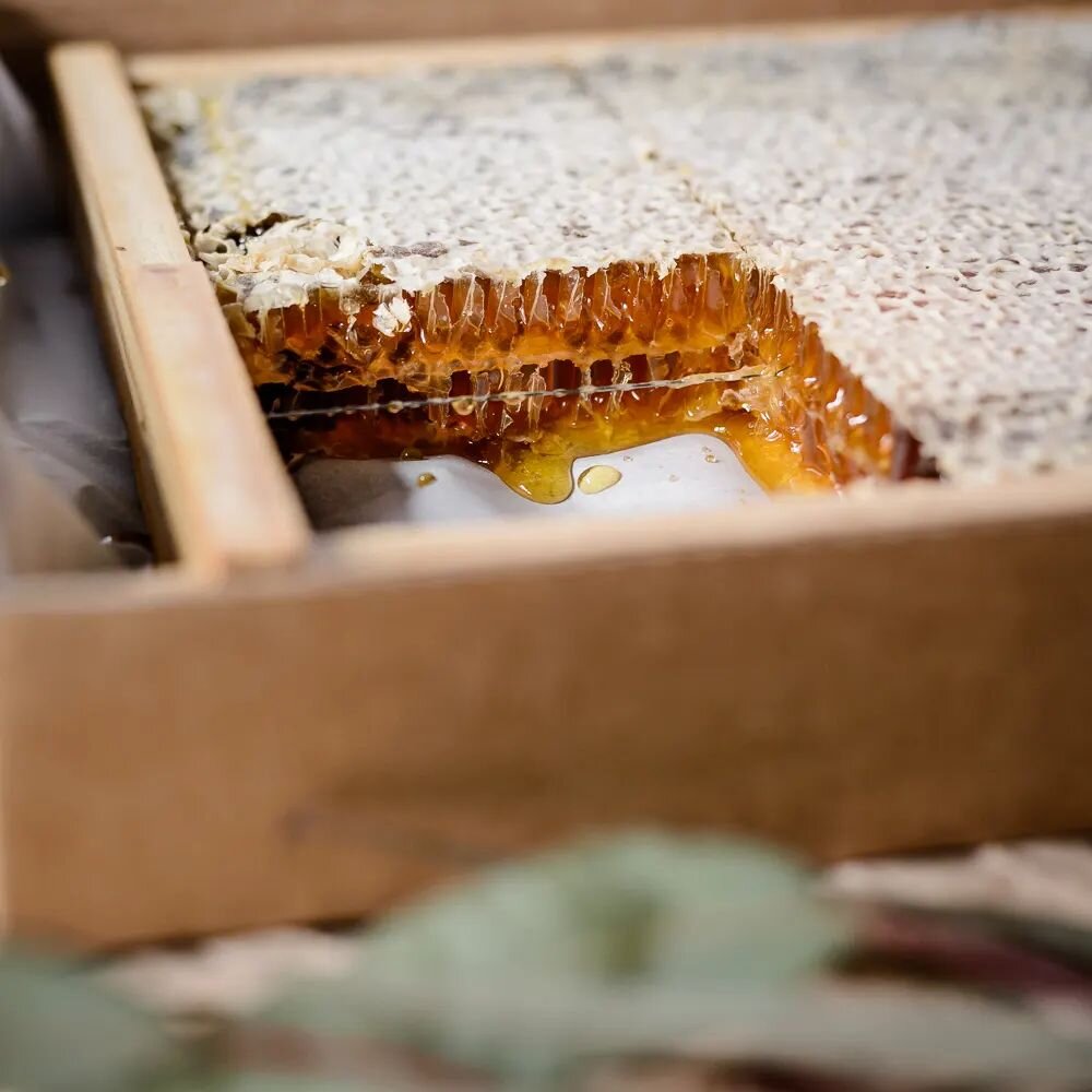 South West Honey is a collection of premium quality honey sourced from the pristine forests of the South West region of WA.

Our honey range includes Jarrah, Redgum, coastal, creamed Karri &amp; Manuka. 

#honey #purehoney #rawhoney #tahoney #medicin