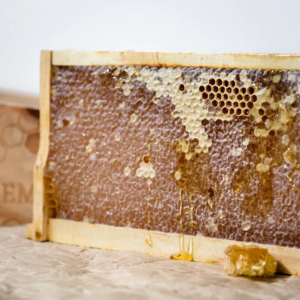 | 𝗛𝗢𝗡𝗘𝗬𝗖𝗢𝗠𝗕
⠀⠀⠀⠀⠀⠀⠀⠀⠀⠀⠀⠀⠀⠀⠀⠀
Our honeycomb is the purest form of honey. Straight from the hive, untouched 👏

A tasty addition to your charcuterie board; it's also an amazing piece of architecture filled with nutrients.

𝘄𝘄𝘄.𝘀𝗼𝘂𝘁𝗵𝘄?