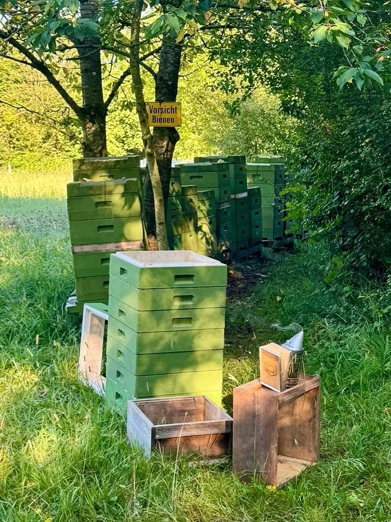Die 🦉🐝 Euelsberger Bienchen summen sich schon langsam in die Winterruhe&hellip; 🛌
Gut eingef&uuml;ttert und von Brennmeister Stephan sorgf&auml;ltig gegen Varroa behandelt, kuscheln sie sich nun eng zusammen, bis der Fr&uuml;hling wieder bl&uuml;h