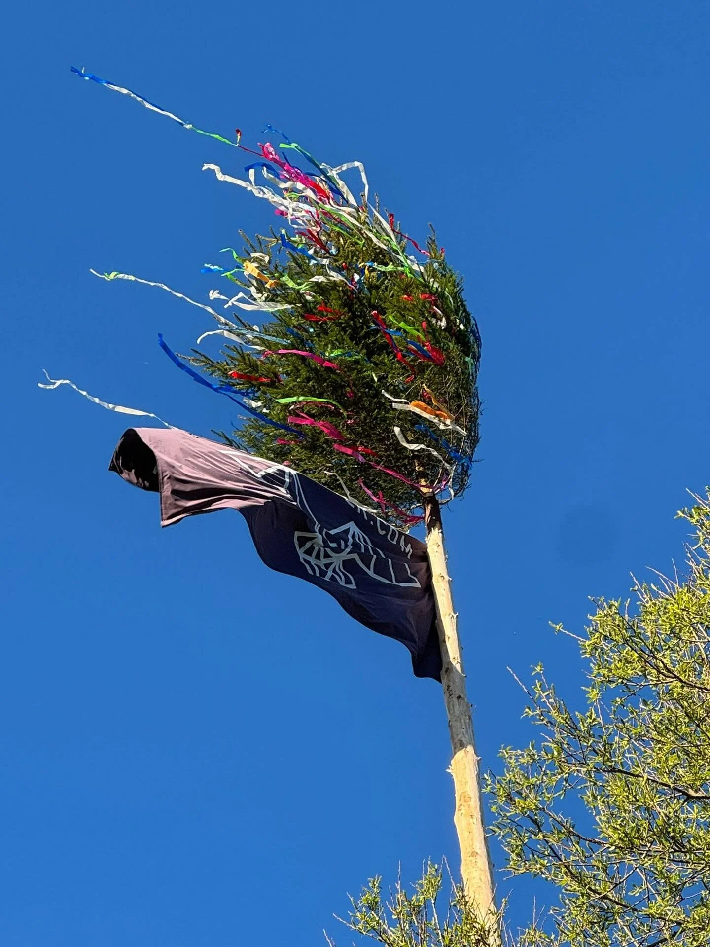 Der Mai ist gekommen&hellip; 🎶🎼 Und in Dingdorf hat die Feuerwehr einen sehr sch&ouml;nen Maibaum gestellt. 🌲 Jetzt flattert die 🦉 Euelsberger Flagge wieder im Wind. 🎉🎊 Liebe Dingdorfer, es war so sch&ouml;n mit euch, dieser wunderbare erste le