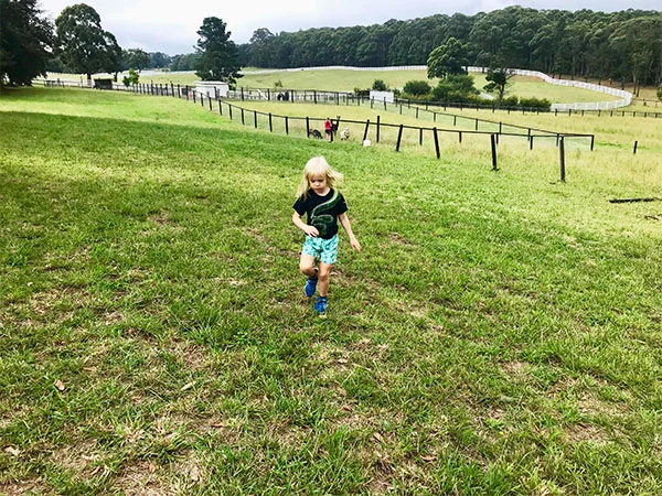 Freedom to run is one of the best things about a farm stay