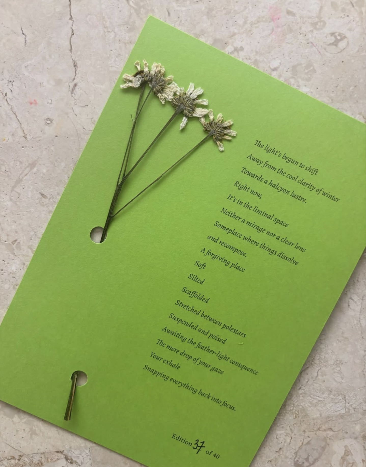 Screenshot 2025-11-19 at 9.37.21 am.png