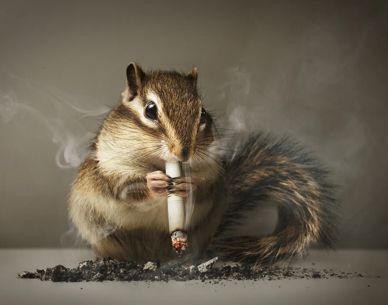 026_akira_tabaco.jpg