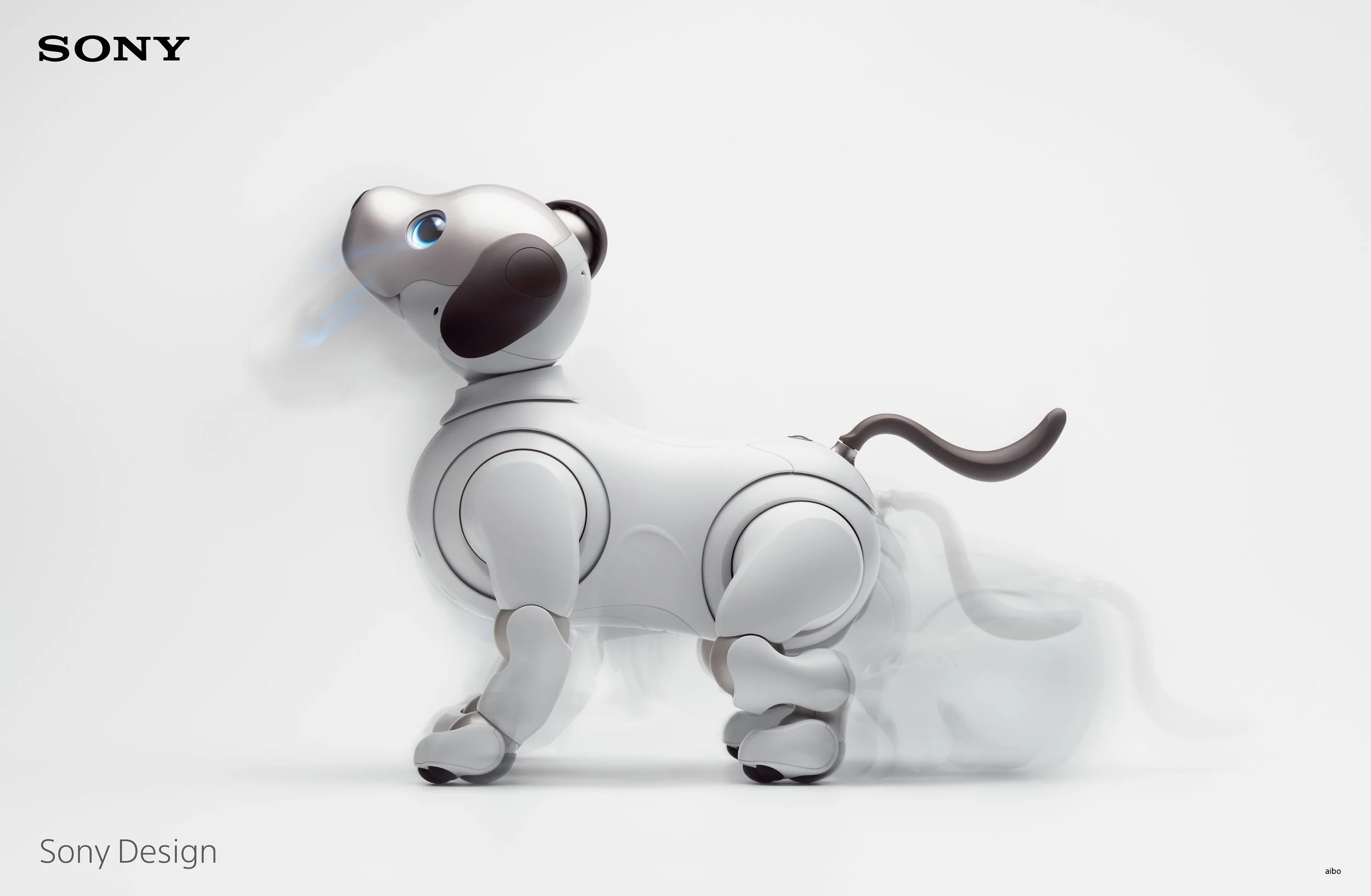 aibo_zoom.jpg