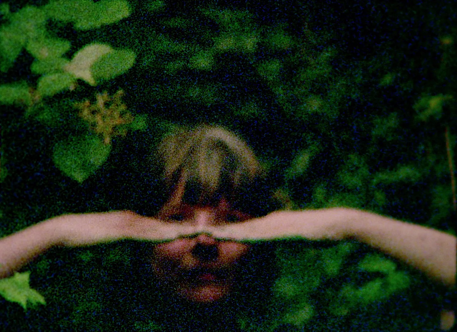 Garden Clearance / 2017 / 2 mins / colour / sound / super 8mm 
