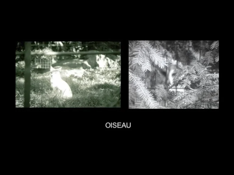 Paris Dreaming Paris Burning / 2015 / 8 mins / B&W / sound / super 8mm + 35mm