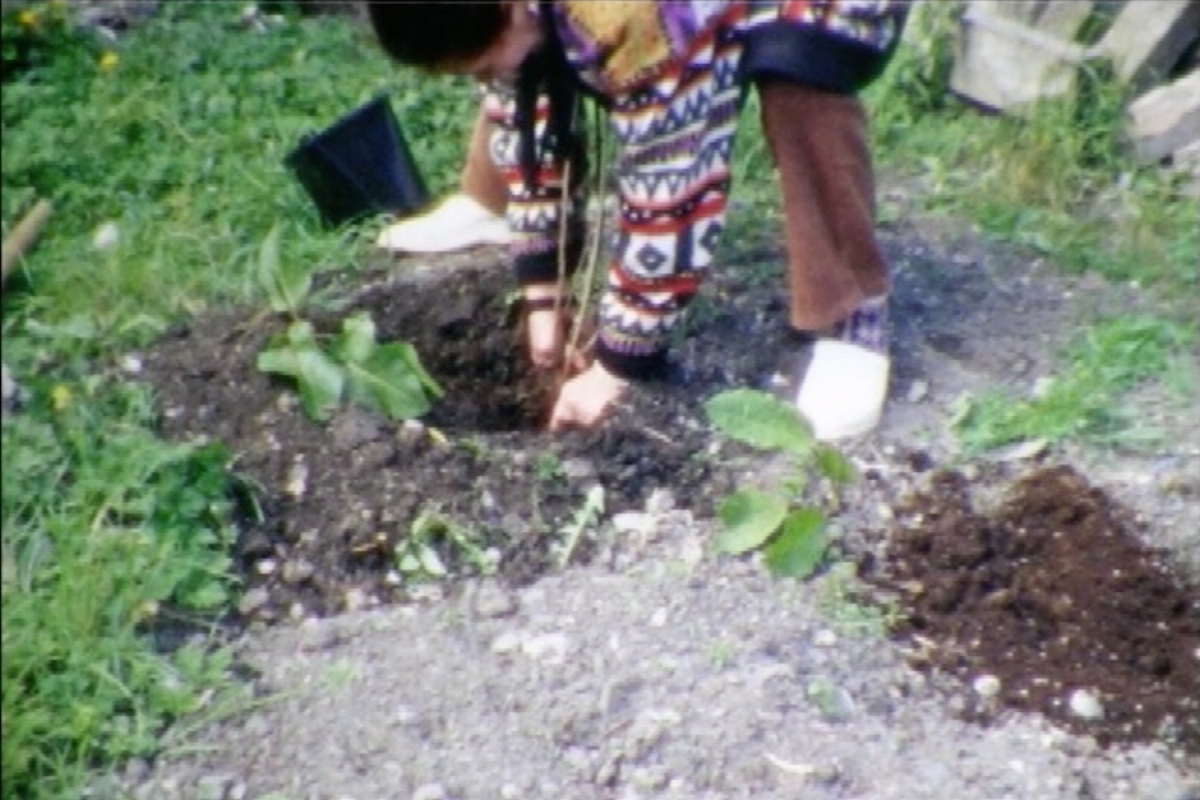 meva's garden .jpg