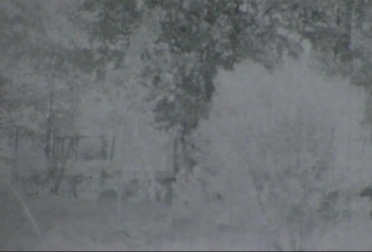 orchard 1.jpg
