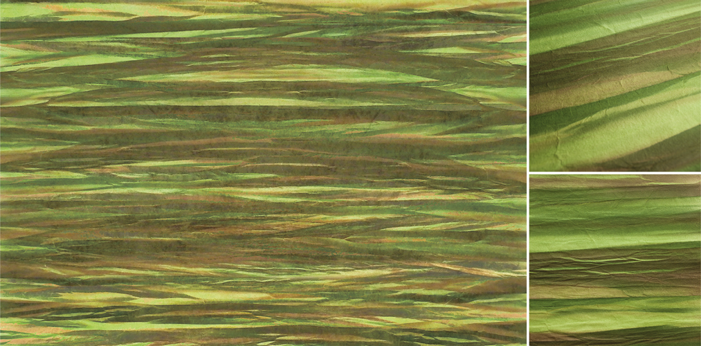 GRASS - KP3178