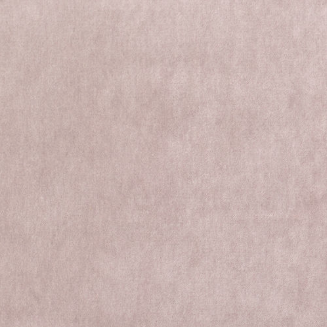 Velveteen 17 Violet.png
