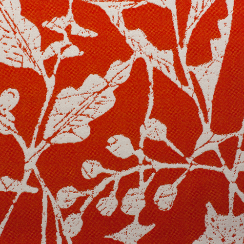 Trillium---Tangerine-Dreams-(front).png
