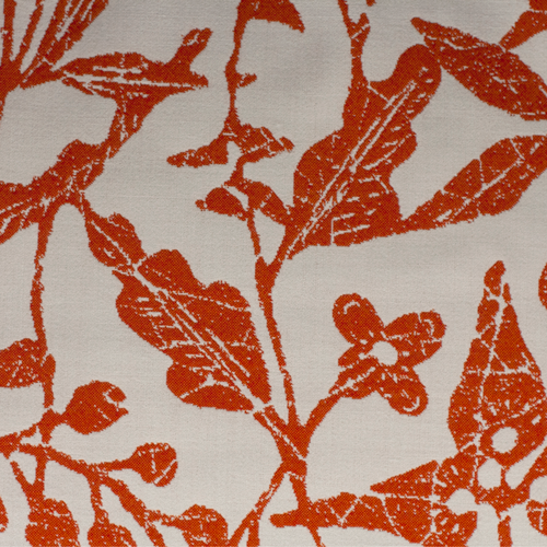 Trillium---Tangerine-Dreams-(back).png
