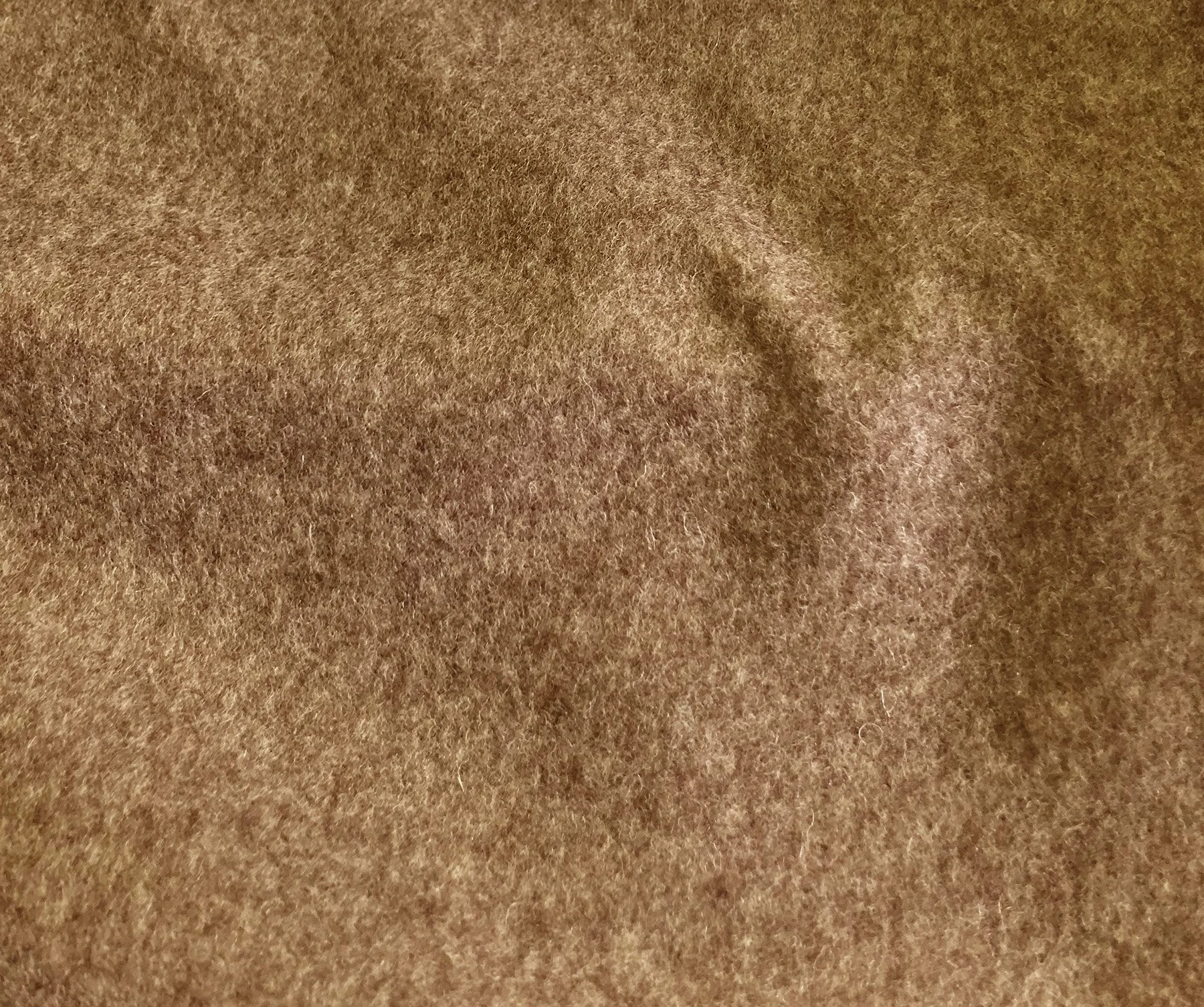 Ulisse-04 TARTUFO.jpeg