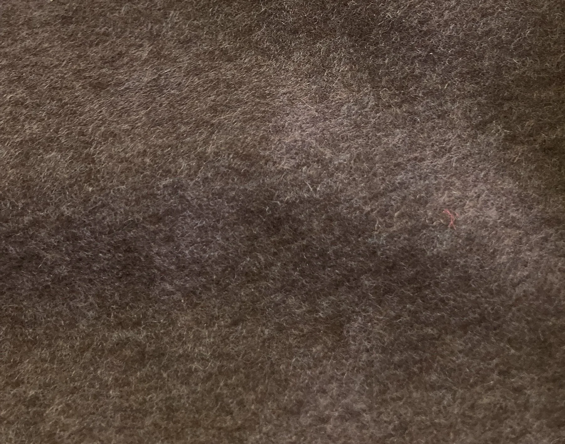 Ulisse-012 CACAO.jpeg