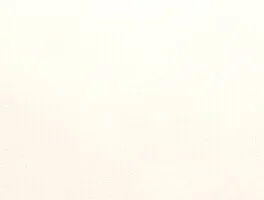 Faux Flax 02 Natural