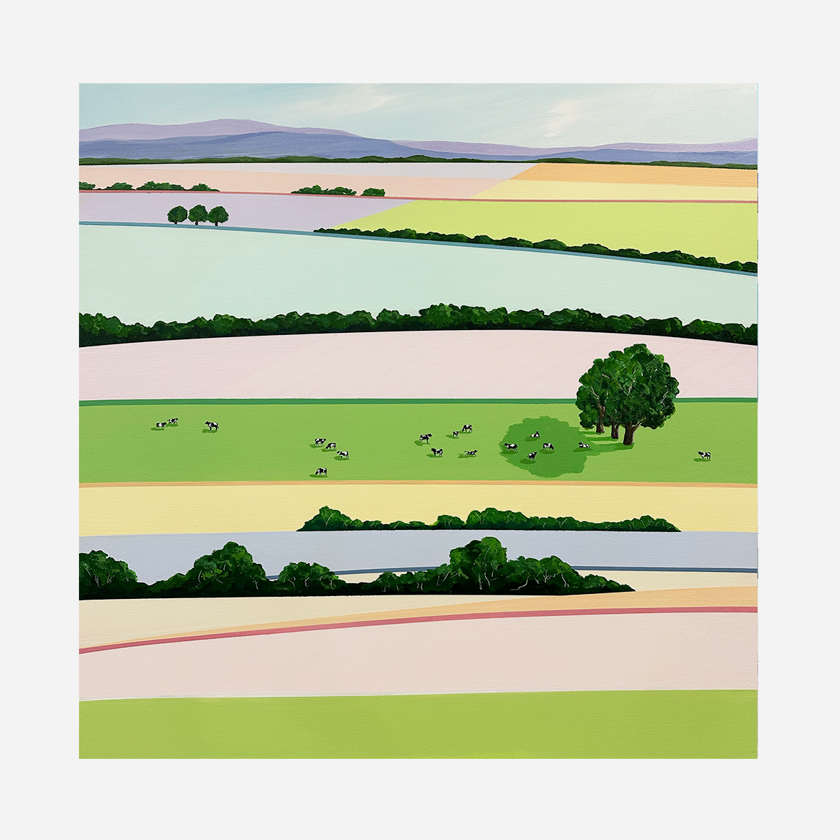 Fiona+chivers_Cows in the long paddock web.png