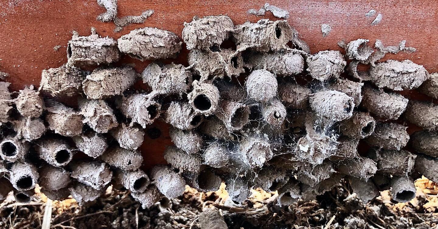 Creepy things lurk beneath olde play sets.....creepy....things.....

#creepythings