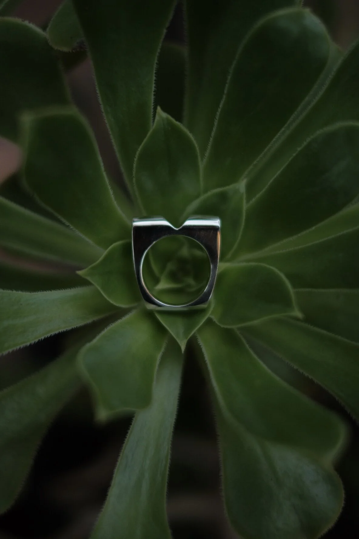 37F1138E-01FB-48DF-9C1A-E6DF0E6364A1