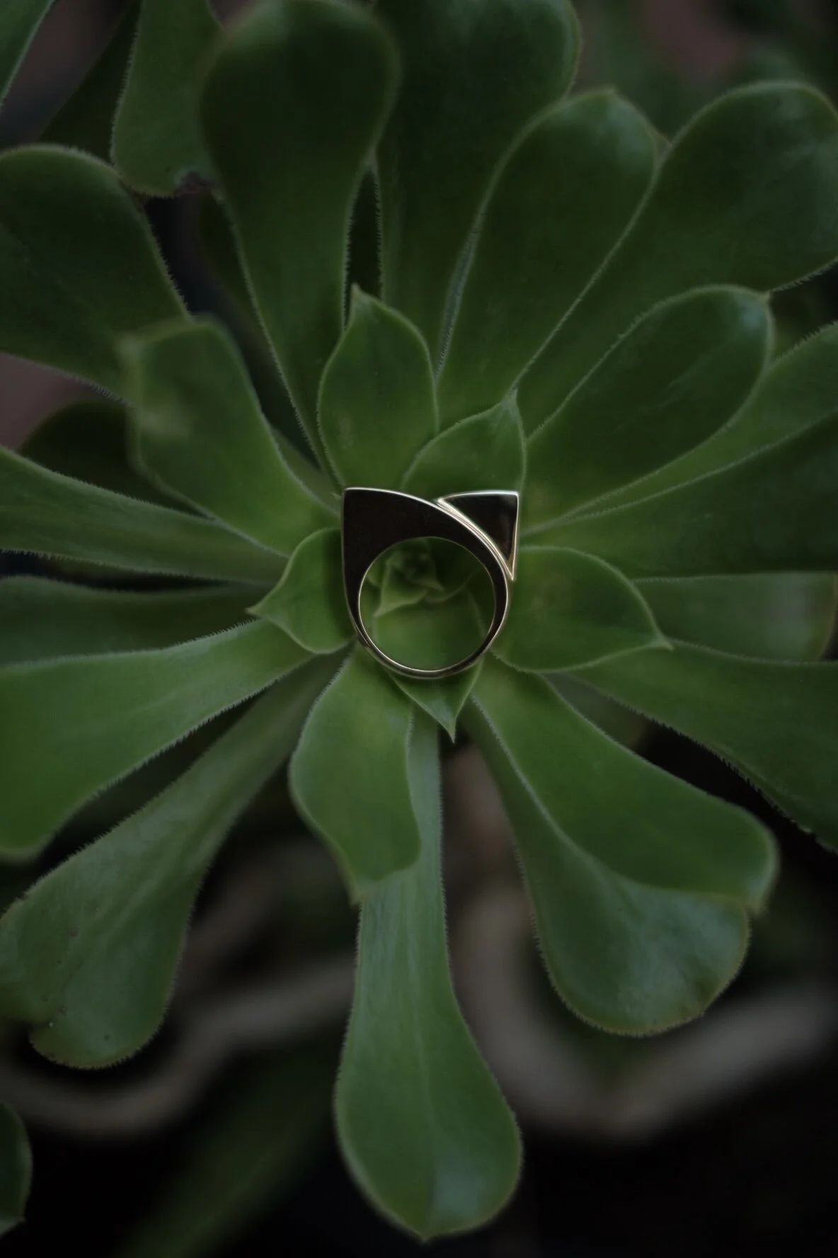 544025FA-8C8F-4FFF-ABD5-AEA8B3848ED4