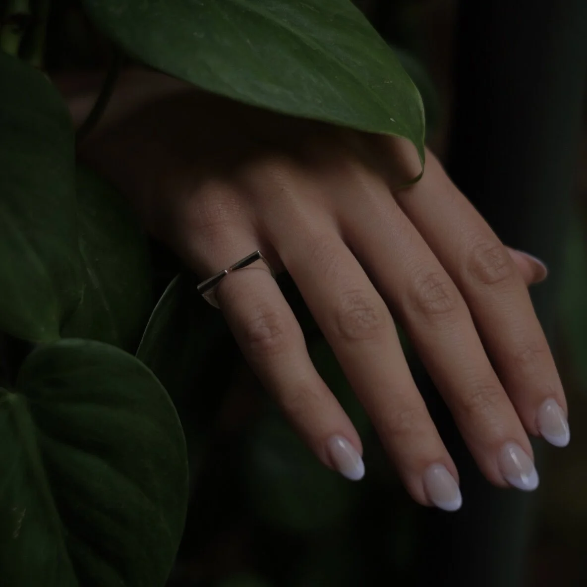 01148D30-E38F-4965-A39D-5E9E1D9BDF1E