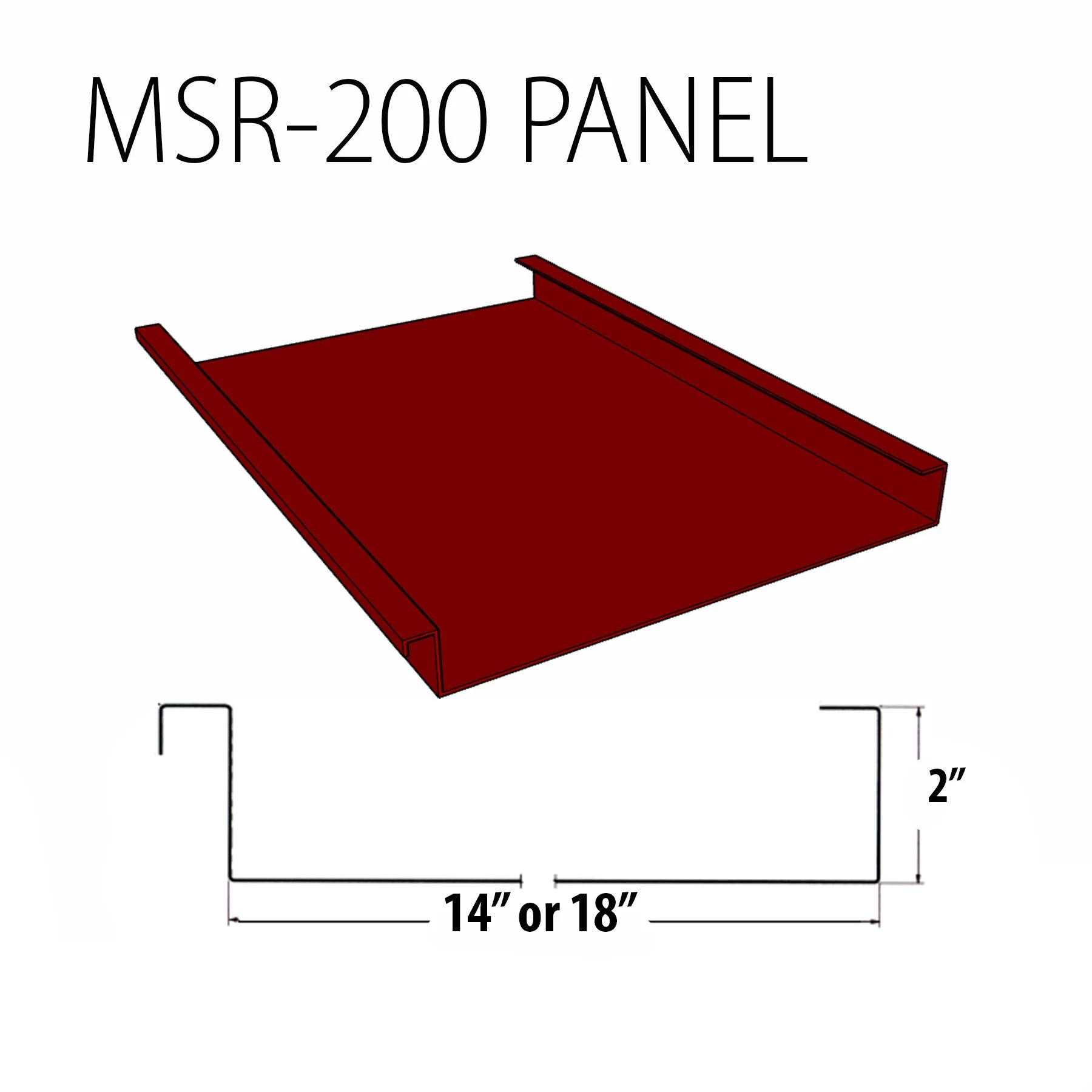 MSR 200 PANEL.jpg