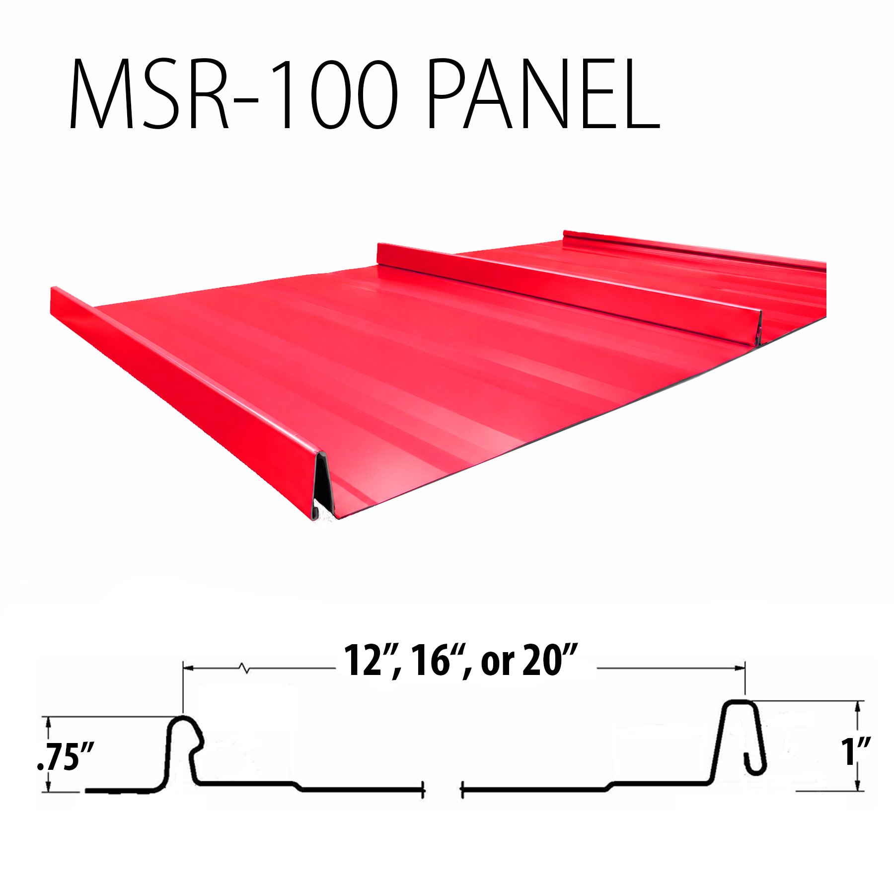 MSR 100 Snap-Lok Panel System