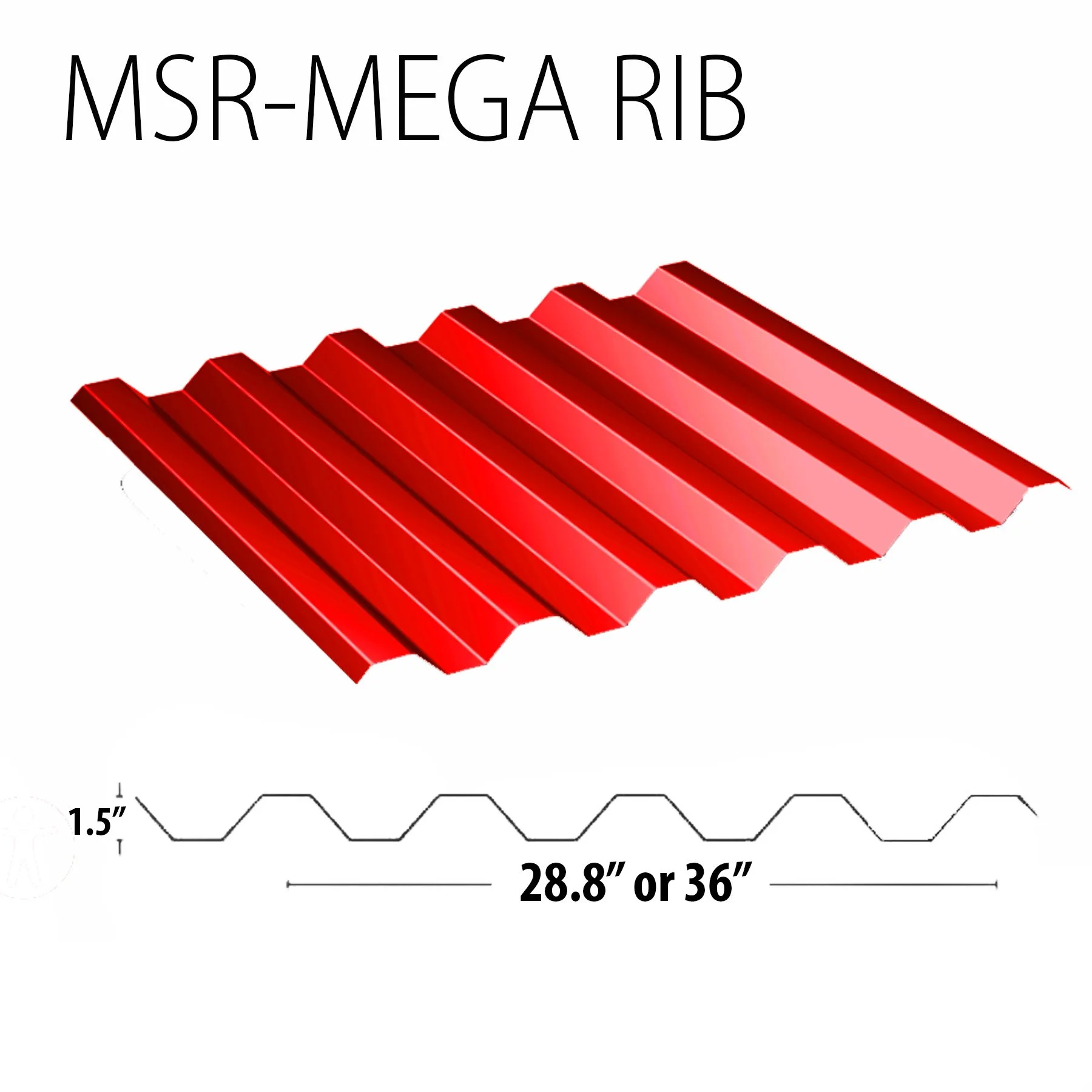 MSR- Mega Rib